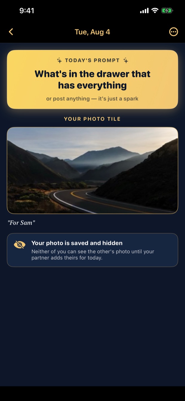 Day screen after you add a photo: your tile is saved and hidden until your partner adds theirs